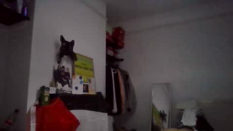 NarcoMarco online show from November 11, 1:52 am