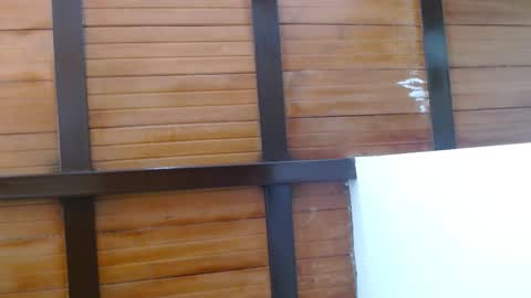 nath_dawson online show from February 10, 1:47 pm