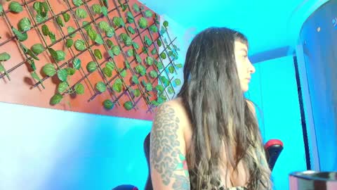 Kitten online show from April 6, 11:22 am
