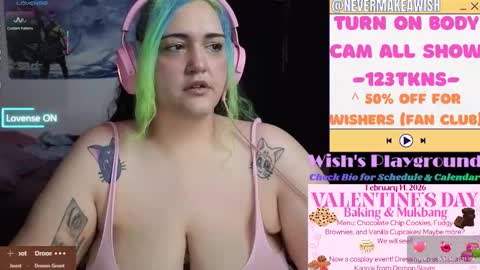 Wishs Playground online show from February 13, 5:49 pm