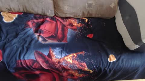 Lilly  online show from September 28, 9:18 am