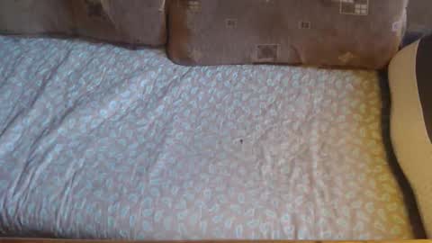 Lilly  online show from October 21, 10:53 am