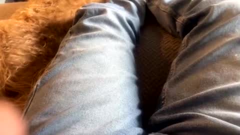 newjerseyhorny online show from December 15, 7:10 pm