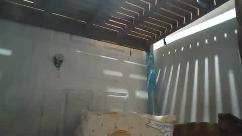 niceasianpussy online show from August 1, 2:46 am