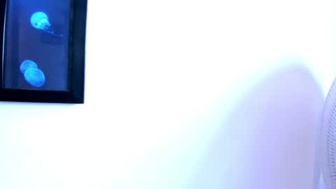nick_smile online show from July 24, 2:09 am