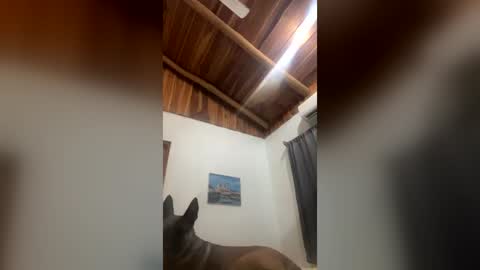 Nasty Couple online show from July 2, 6:07 am
