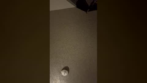 nikkitag93 online show from December 18, 7:58 am