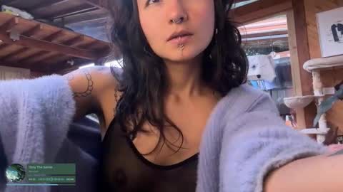 Nina.  online show from October 24, 9:15 pm