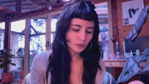 Nina.  online show from May 2, 8:25 pm