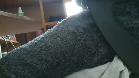 nineinchhard online show from October 27, 10:37 am