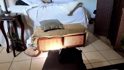 Snapshot of nobudget06 chatting on February 16, 4:42 pm nobudget06 online show from February 16, 4:42 pm