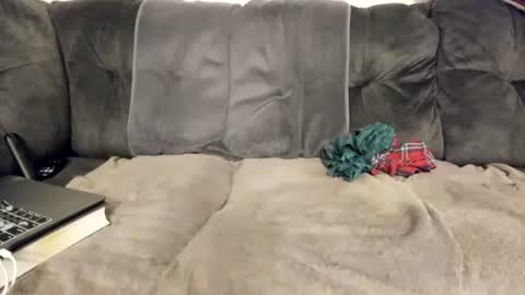 Nude Nice Guy online show from November 20, 2:21 am