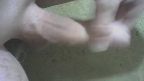 odentonman4fun online show from July 23, 3:48 am
