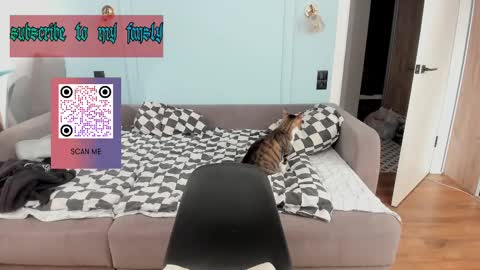 Snapshot of oliverrgroove chatting on February 17, 4:39 pm oliverrgroove online show from February 17, 4:39 pm