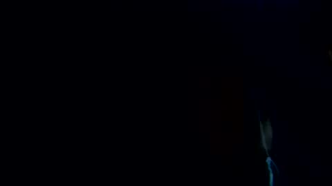 habibi   online show from November 23, 3:48 am