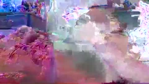 omza99 online show from November 5, 9:44 am