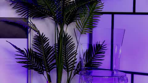 Xandra online show from November 15, 6:04 am