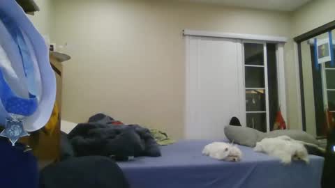 oorah1775 online show from December 22, 5:11 am