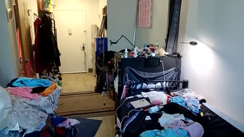 Snapshot of opalockajoe chatting on February 21, 8:27 pm TsJojo online show from February 21, 8:27 pm