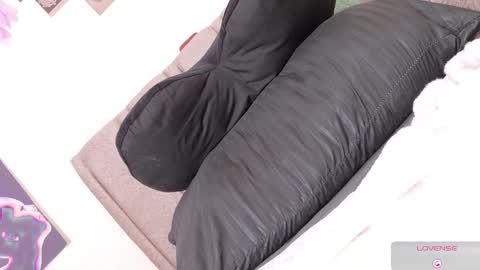 orchidekitty online show from February 15, 12:13 am