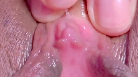 orchidekitty online show from May 2, 11:21 pm