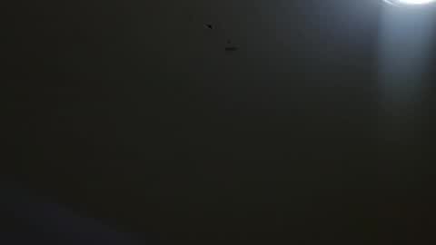oriana_111 online show from May 4, 11:28 am