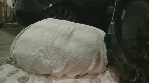 originalcali95 online show from December 15, 1:34 am