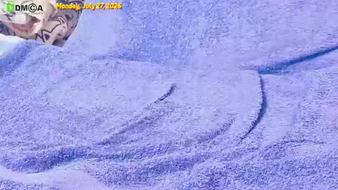 Owl online show from July 27, 7:55 pm