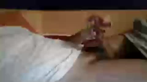 pablo149 online show from May 5, 4:52 am