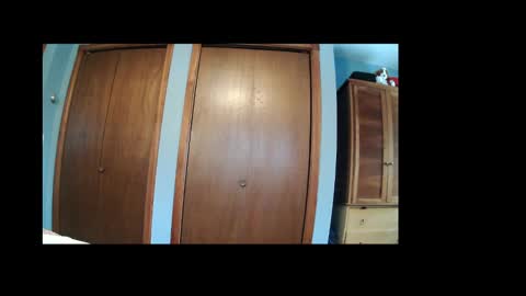 Paddle me online show from November 11, 2:19 pm