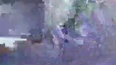 Paikan 07 online show from February 15, 1:32 pm