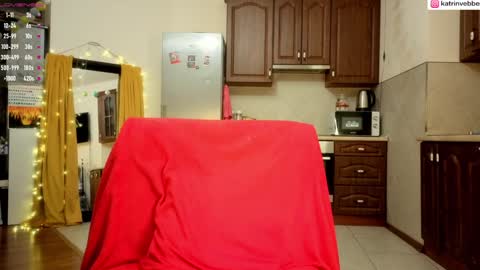 Katrin Vebber online show from January 29, 1:48 am