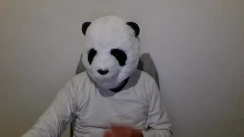 Panda online show from December 5, 6:17 pm