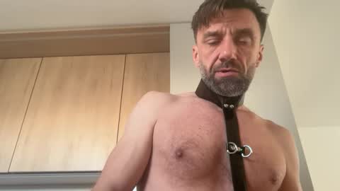 pas43 online show from November 1, 11:20 am