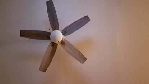 patrick247288 online show from November 7, 6:16 am