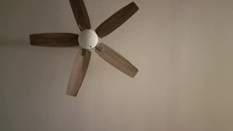 Snapshot of patrick247288 chatting on October 20, 3:22 am patrick247288 online show from October 20, 3:22 am