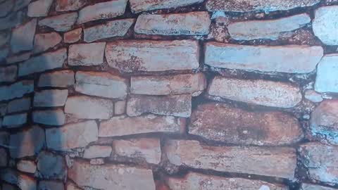 patrick_rouse online show from January 3, 5:31 pm