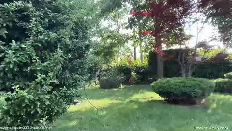 Andreea online show from June 20, 2:34 pm