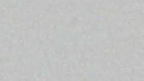 Pau online show from July 8, 7:06 pm