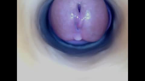 Paula 18 Aninhos online show from April 25, 2:03 pm