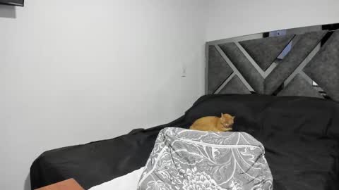 Paulina online show from November 22, 11:57 pm