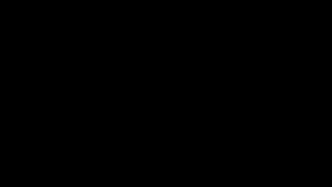 pecsblack888 online show from August 1, 8:43 pm