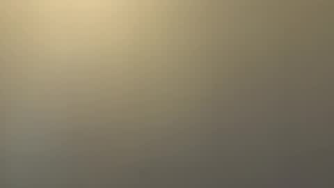 pegasus766152 online show from March 14, 11:03 am