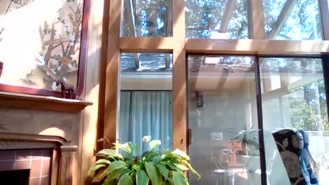 pepperplease online show from September 10, 5:14 pm