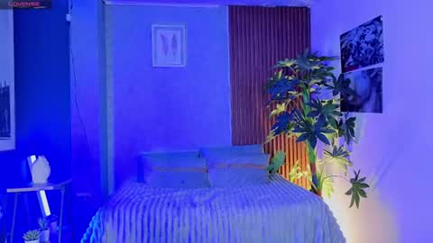  PERLA online show from June 14, 3:58 pm