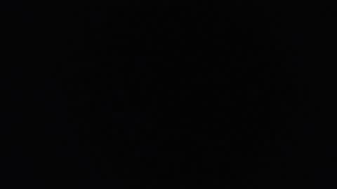 Snapshot of perlabigass21 chatting on October 31, 8:48 am lecia online show from October 31, 8:48 am