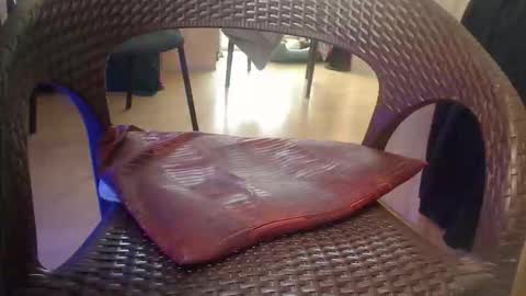 peta000007 online show from November 24, 11:09 am