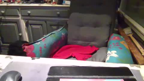 make me cum in pvt dutch german daddy c2c bigcock online show from November 1, 4:22 am