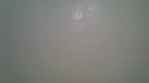 Kitty online show from February 9, 9:28 pm