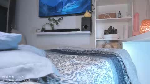 Pettercat online show from November 20, 5:17 am